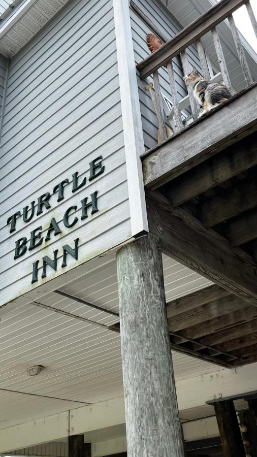 Turtle Beach Inn Indian Pass Esterno foto